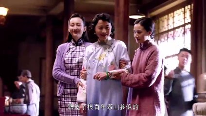 芝麻胡同 15 - Memories Of Peking 15（何冰、王鷗、劉蓓等主演）