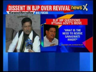 BJP MP criticises Haryana govt’s Saraswati revival project