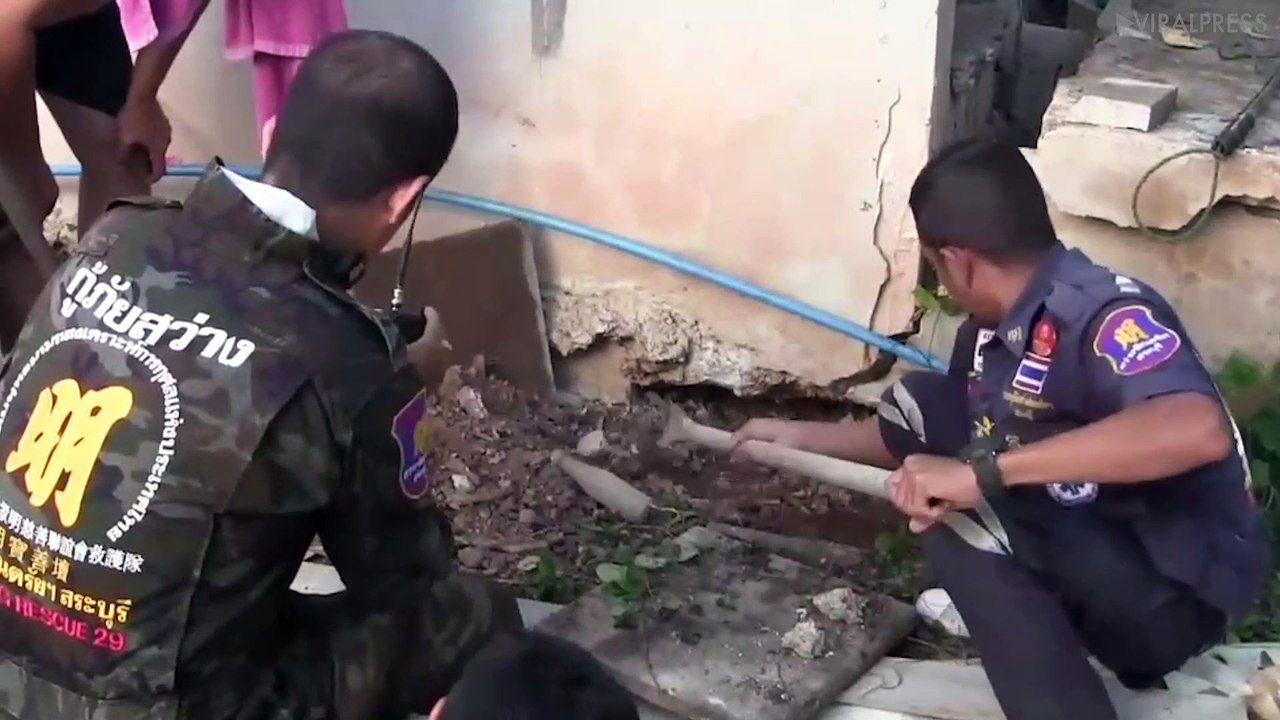 This Massive Python Killed A Cat