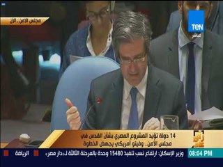 رأي عام - 14 دولة تؤيد المشروع المصري بشأن القدس في مجلس الأمن.. وفيتو أمريكي يجهض الخطوة