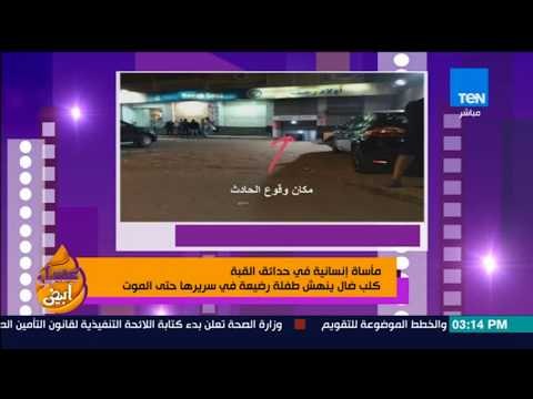 عسل أبيض - مأساة إنسانية في حدائق القبة.. كلب ضال ينهش طفلة رضيعة في سريرها حتى الموت