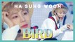 [Solo Debut] HA SUNG WOON - BIRD , 하성운 - BIRD Show Music core 20190302