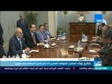 أخبار TeN -  شكري يؤكد استمرار الموقف المصري الداعم للحل السياسي في سوريا