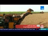 مصرفي أسبوع | المتحدث باسم وزارة الزراعة: تم بالفعل تنقية الحيازات الوهمية