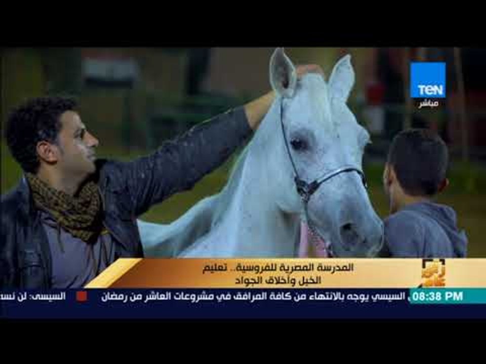 رأي عام - المدرسة المصرية للفروسية تعليم الخيل...