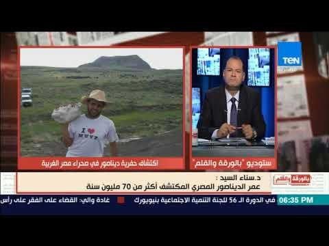 بالورقة والقلم - تفاصيل العثور علي ديناصور مصري عاش في مصر منذ 70 مليون سنة