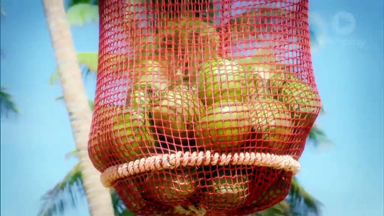 Australian Survivor: Champions vs Contenders - Episode 10 Immunity Challenge: Sack Attack