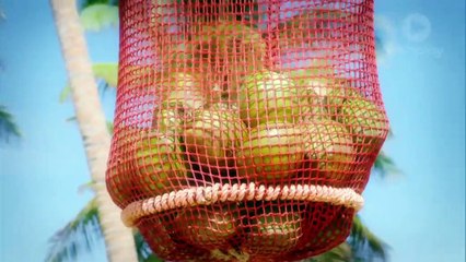 Australian Survivor: Champions vs Contenders - Episode 10 Immunity Challenge: Sack Attack