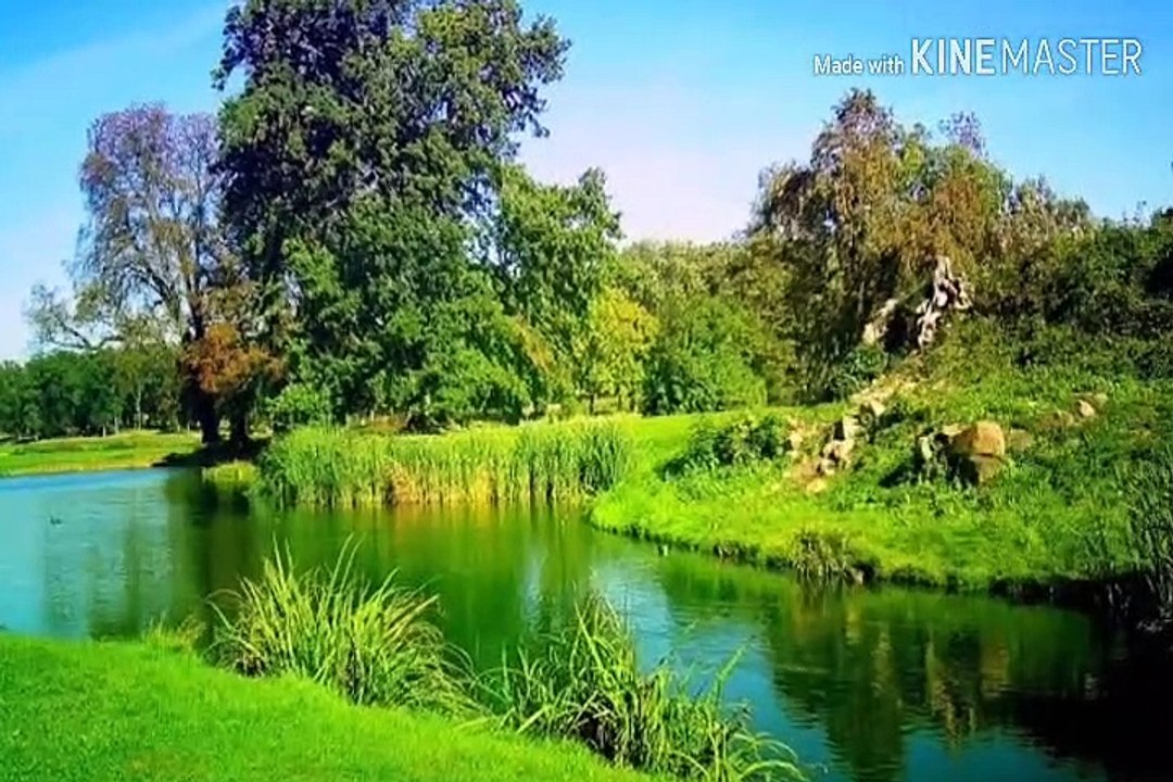 বুদ্ধিমত্তা এবং ব্রেইন এর স্মৃতিশক্তি বাড়ানোর উপায়