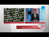 مصر في أسبوع | رسوم العمرة.. جدل حول ضوابط وزارة السياحة لموسم 1439