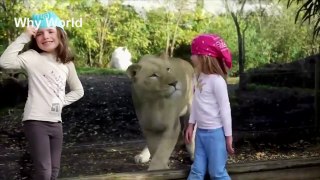 Funny Kids at the Zoo - Funny Zoo Animals and Kids Videos - Funny Kids at the Zoo Funny Compilation