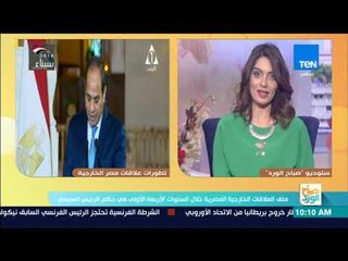 صباح الورد - ملف العلاقات الخارجية المصرية خلال السنوات الأربعة الأولى في حكم الرئيس السيسي