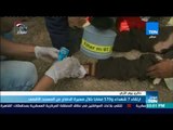 موجزTeN - ارتقاء 7 شهداء و570 مصابا خلال مسيرة الدفاع عن المسجد الاقصي