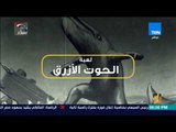 رأي عام - جدل كبير حول لعبة الحوت الأزرق على الشبكات الاجتماعية ..  والتحقيق في انتحار خالد الفخراني