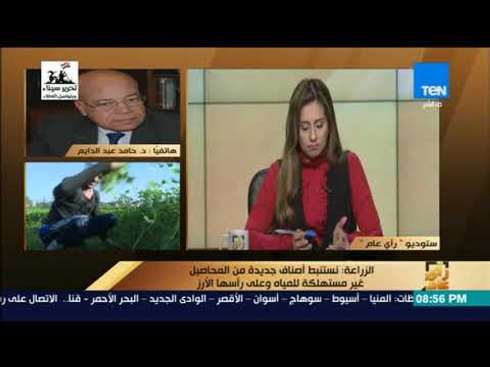 رأي عام - الزراعة: نستنبط أصناف جديدة من المحاصيل غير مستهلكة للمياه وعلى رأسها الأرز