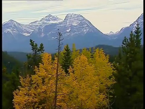 Chroniques de l'Amérique Sauvage - eps 5: Le Temps Des Loups.