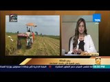 رئيس شعبة الأرز باتحاد الصناعات يكشف حقيقة وجود عجز في الأرز المصري وسبب اختفاؤه من الأسواق