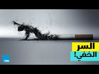 قصص TeN - لماذا ترفض شركات التبغ الكشف عن تركيبة سجائرها؟