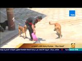 رأي عام - تقرير| 