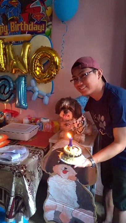 Ce chien souffle sa propre bougie d'anniversaire