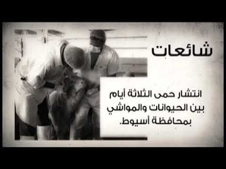 قصص TEN- حقيقة شائعة انتشار حمى الثلاثة أيام بين الحيوانات والمواشي بمحافظة أسيوط