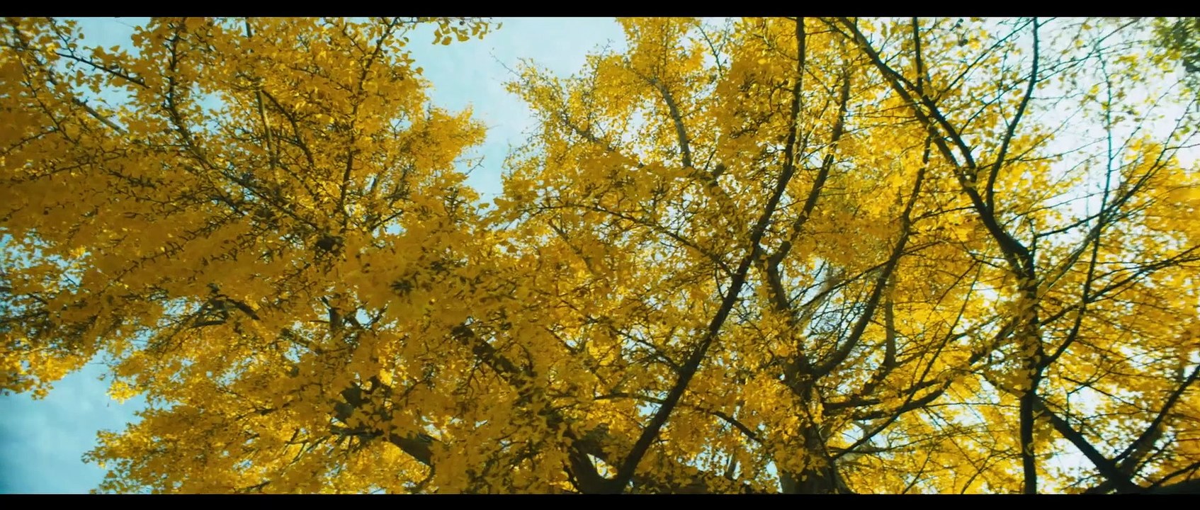 Van Gogh An der Schwelle zur Ewigkeit Film - Willem Dafoe