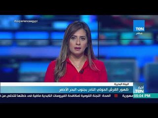 أخبار TeN - ظهور القرش الحوتي النادر بجنوب البحر الأحمر