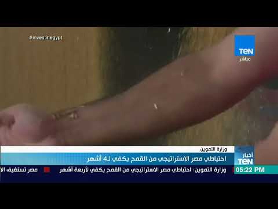 أخبار TeN - احتياطي مصر الاستراتيجي من القمح يك...