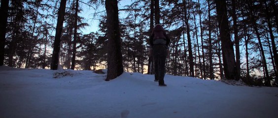 Destroyer Film - Nicole Kdiman - ab 22. März 2019 im Kino