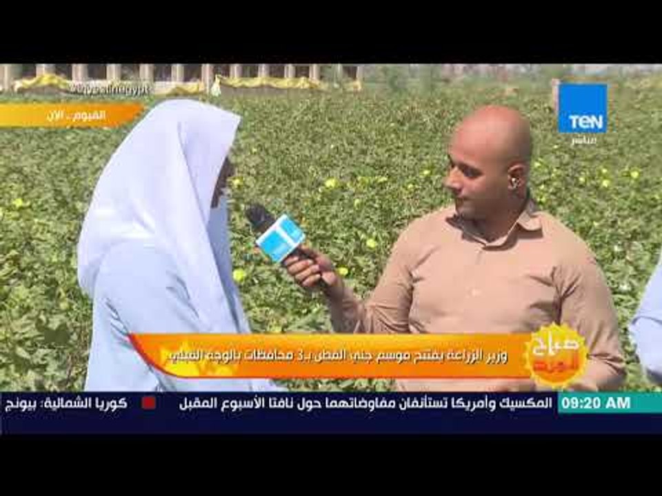 صباح الورد - وزير الزراعة يفتتح موسم جني القطن...