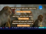 رأي عام - تعرف على أماكن وأسعار تذاكر حدائق الحيوان في مصر