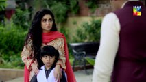 Baandi Episode #24 HUM TV Drama 1 March 2019