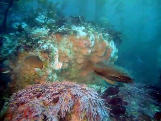 구리시출장안마 -100%ョ안전Ø1Øx2997g5327〔카톡DDR88〕ザ구리시전지역출장마사지샵구리시출장hk안마co구리시출장마사지황형ŧŋŉ최고의서비스출장오피