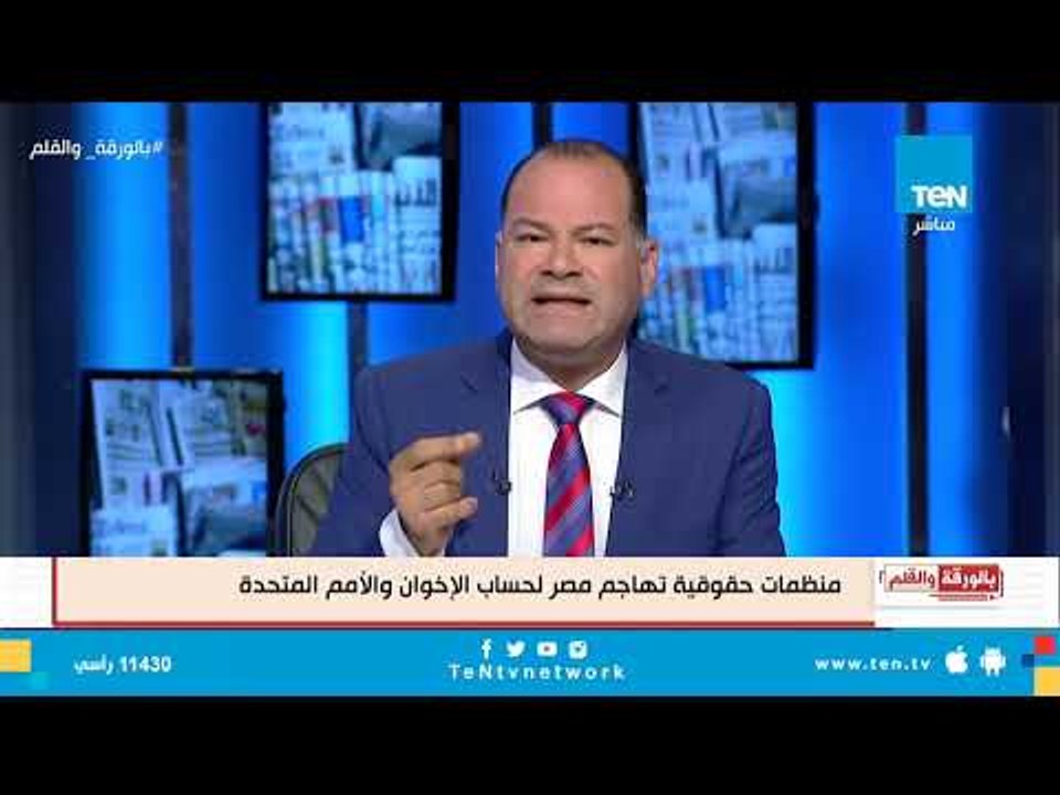 نشأت الديهي: بهي الدين حسن خاين وعميل ويتلقى دعم من قطر