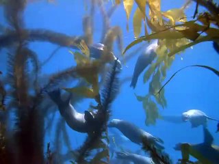 파주시출장안마 -100%ョ안전Ø7Øu4949y6356 [카톡GM1212]ぎ파주시전지역출장마사지샵파주시출장hk안마co파주시출장마사지황형ЧШЩ출장가격업계1위