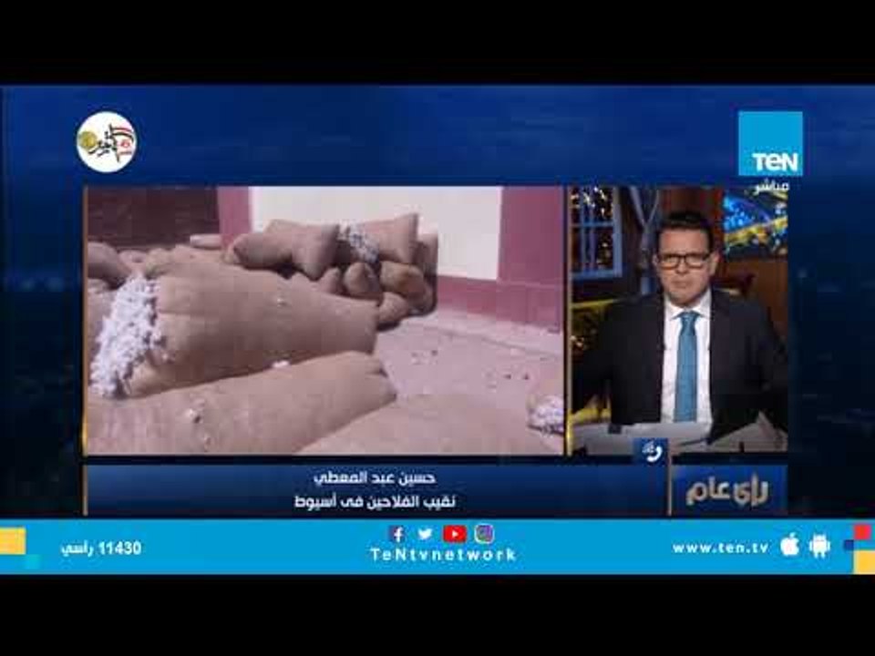 نقيب الفلاحين في أسيوط: لدينا أزمة بسبب تكدس محصول القطن.. ومخاوف من عدم تسويقه