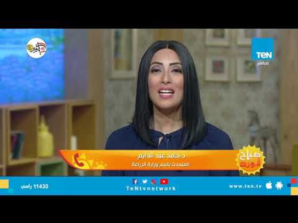 صباح الورد | أخر مهلة لسداد الضريبة العقارية المستحقة دون غرامة
