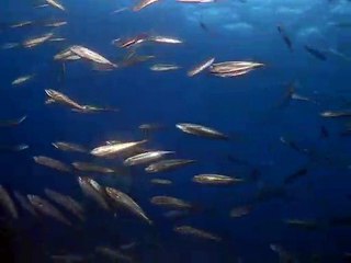 봉화출장안마 -100%ョ안전Ø7Øp4906h6329『카톡CK654』ム봉화전지역출장마사지샵봉화출장hk안마co봉화출장마사지황형♠♥◑출장가격섹S