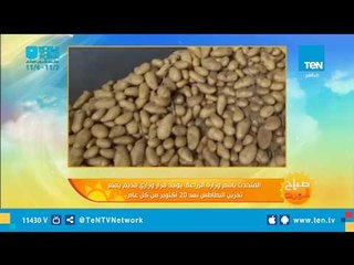 "الزراعة " تكشف الأسباب الحقيقية وراء أزمة البطاطس