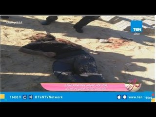 عاجل|  قوات الأمن المركزي تحبط هجوم أحد العناصر الإنتحارية يرتدى حزام ناسف