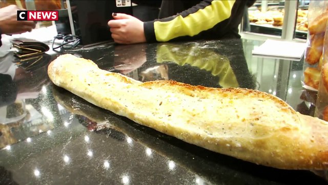 Des taux anormalement élevés d'opioïdes retrouvés dans des graines de pavot