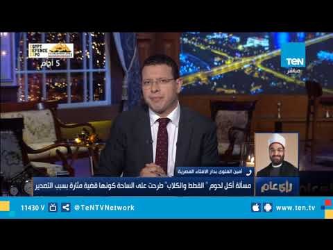 تصدير وأكل الكلاب والقطط حلال أم حرام.. أمين الفتوى بدار الإفتاء يجيب