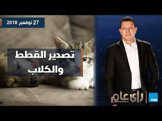 رأي عام| دعم "تكافل وكرامة".. منظومة جديدة من أول يناير