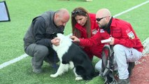 Köpekler uluslararası arama kurtarma sertifikası için yarıştı - İZMİR