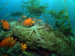 정선출장안마 -신용100%ョØ1Øb9528u0391≪카톡GH600≫정선전지역출장마사지샵'정선출장wo안마gy정선출장마사지황형ħłø업계1위콜걸샵