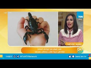 من فوبيا شديدة لهواية وحب وشغف.. طالبة تقرر تربية العقارب والعناكب بمنزلها