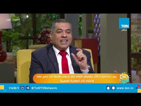 رئيس إدارة استرداد الآثار: الآثار المصرية المهربة للخارج زي السمك في البحر لا يمكن حصرها