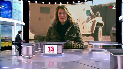 Syrie : les forces démocratiques contre les irréductibles de Daech