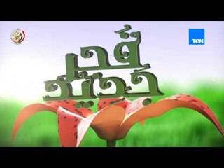 درع الوطن| تفاصيل مشروعات الصوب الزراعية