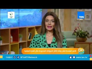 بالأرقام .. تعرف على عدد الحيوانات التى يتناولها سكان كوكب الأرض كل عام